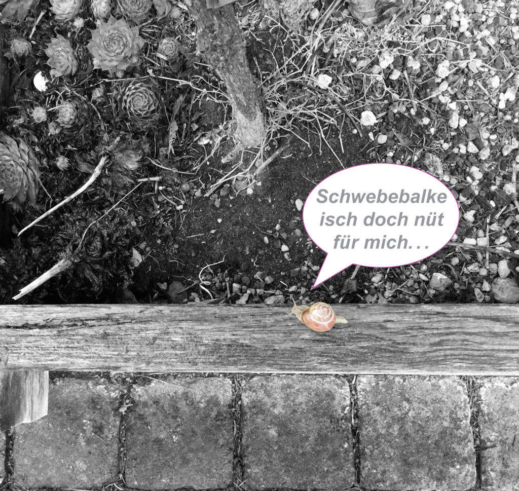 Schnecke_Schwebebalken